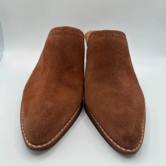 Zodiac Pointed Toe Suede Mule in Chestnut Brown - Picture 4 of 9